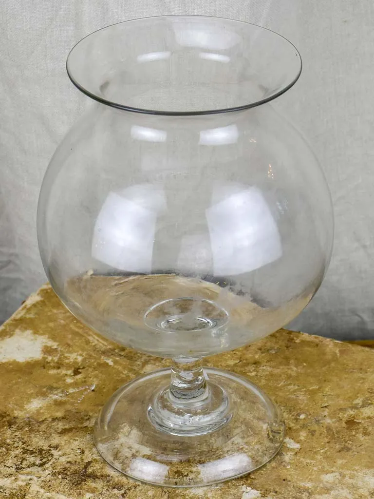 Antique French glass apothecary jar - sangsue
