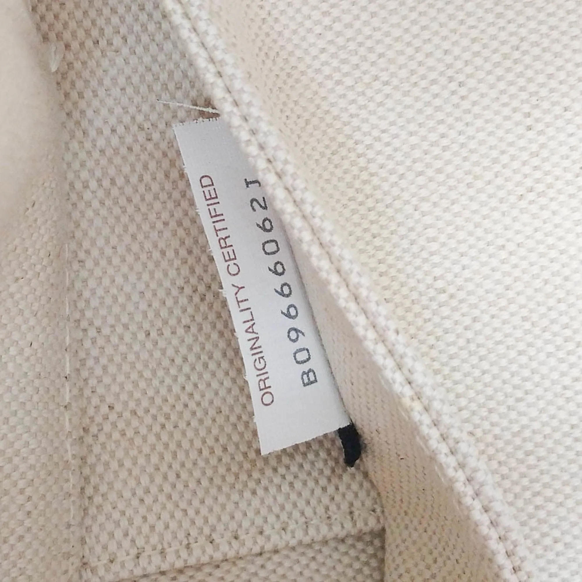 Bottega Veneta Arco White Canvas Bag