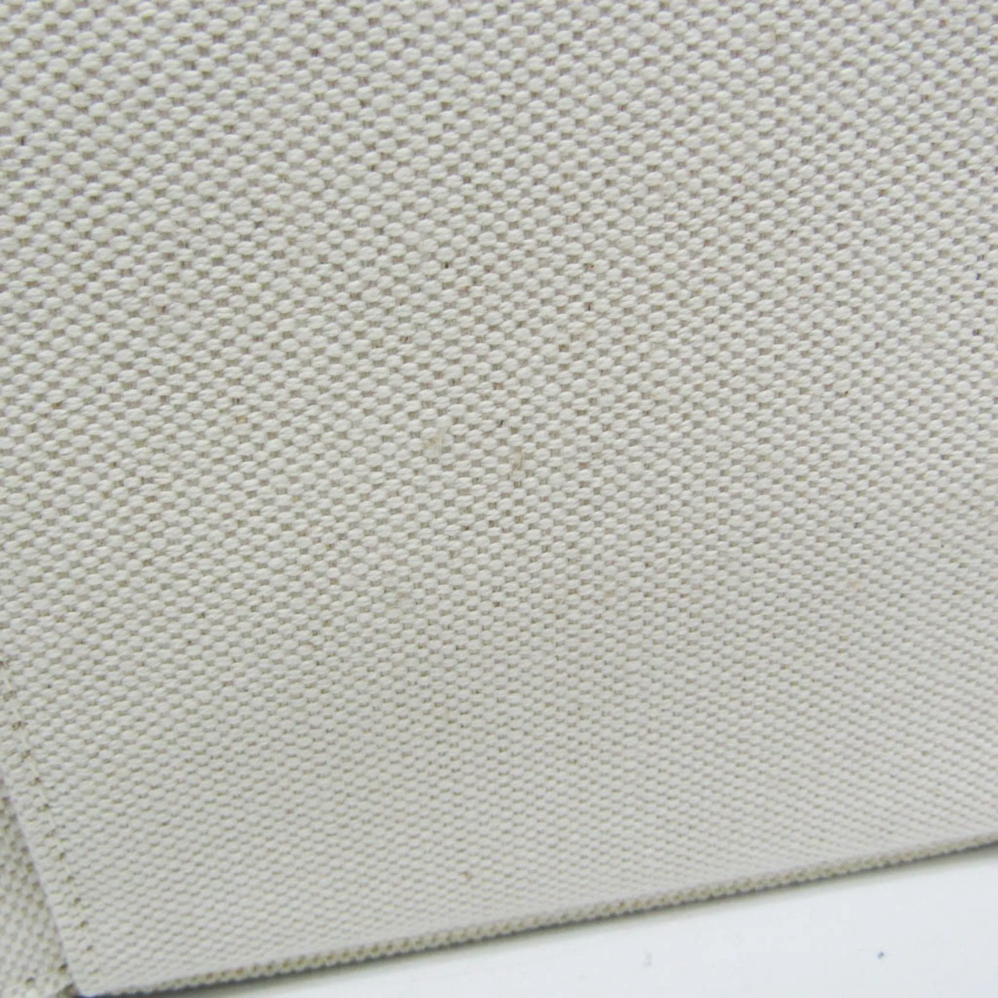 Bottega Veneta Arco White Canvas Bag