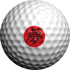 Dream Kanji