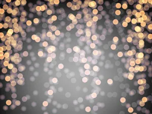 Elegant Bokeh