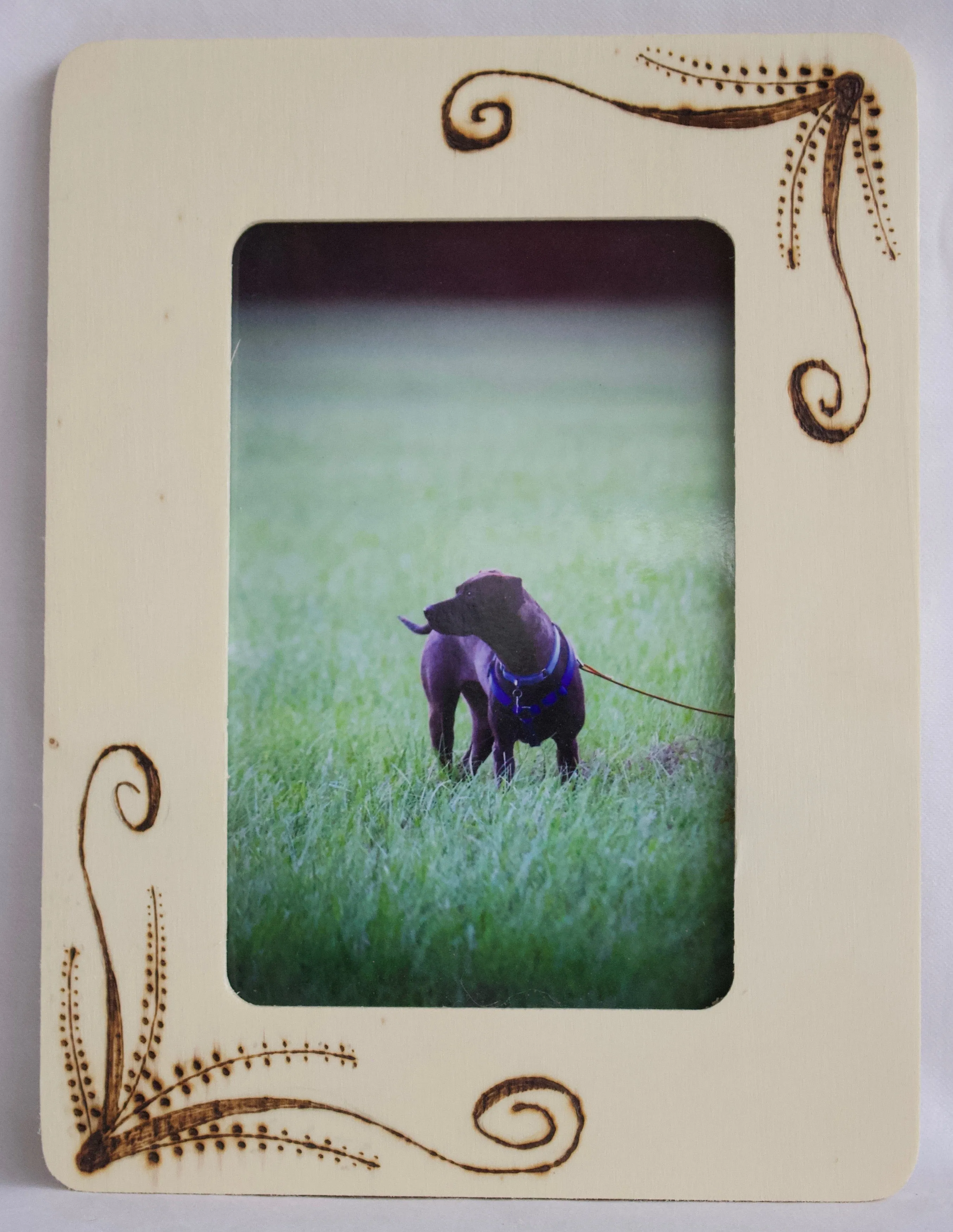 Elegant Photo Frame