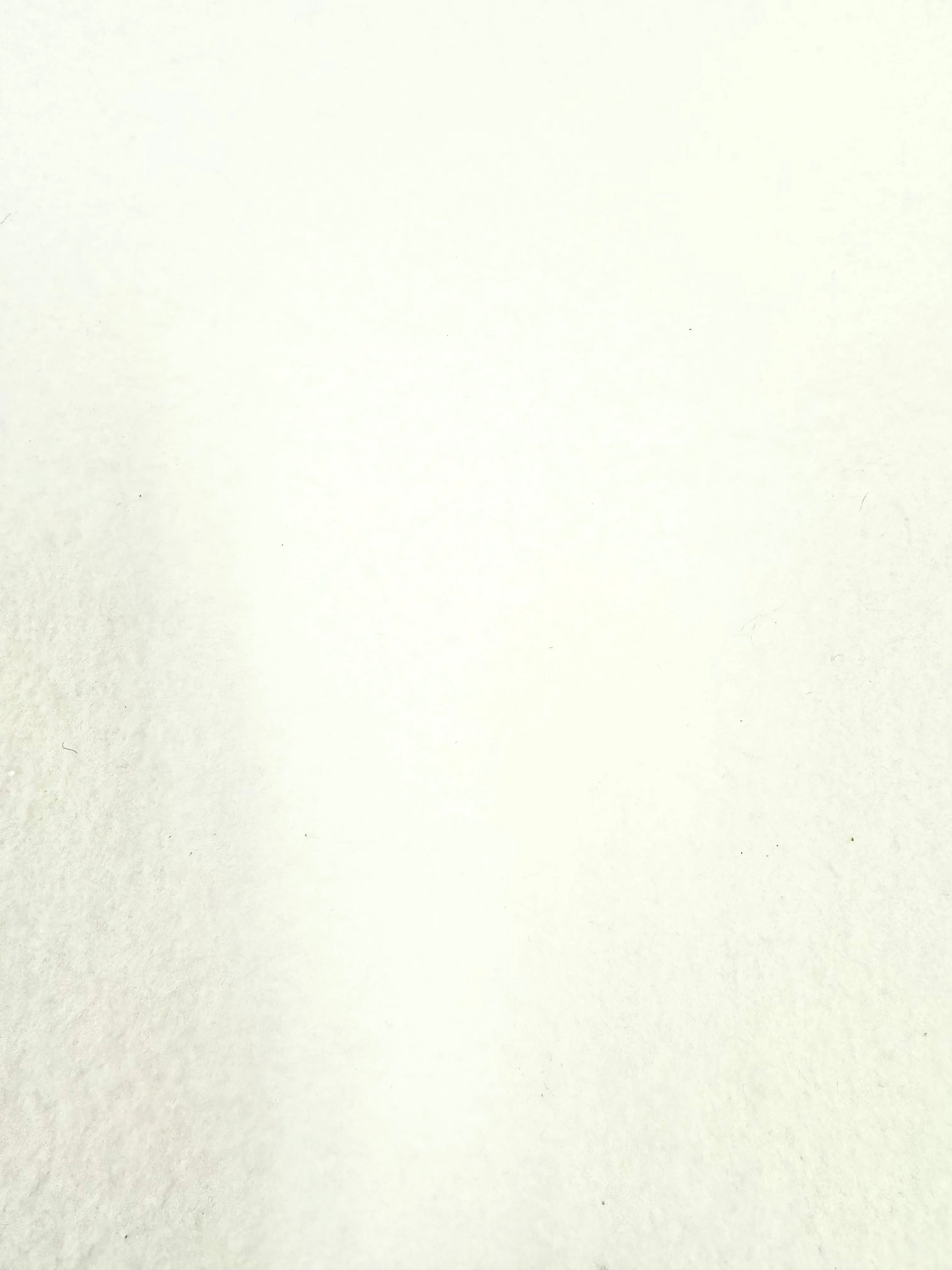 Felt - 72-inches Wide White
