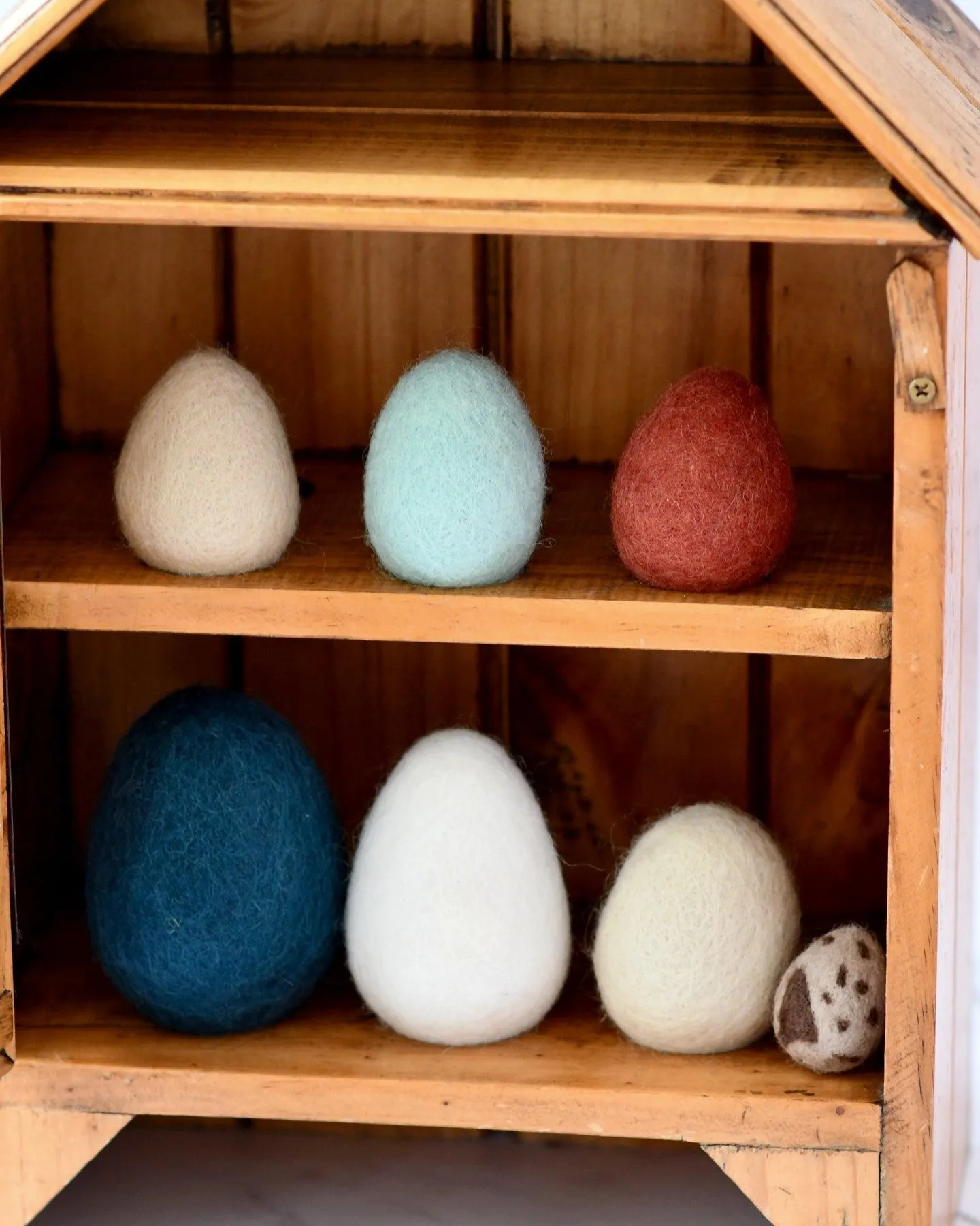 Felt Eggs (7 types of poultry eggs)