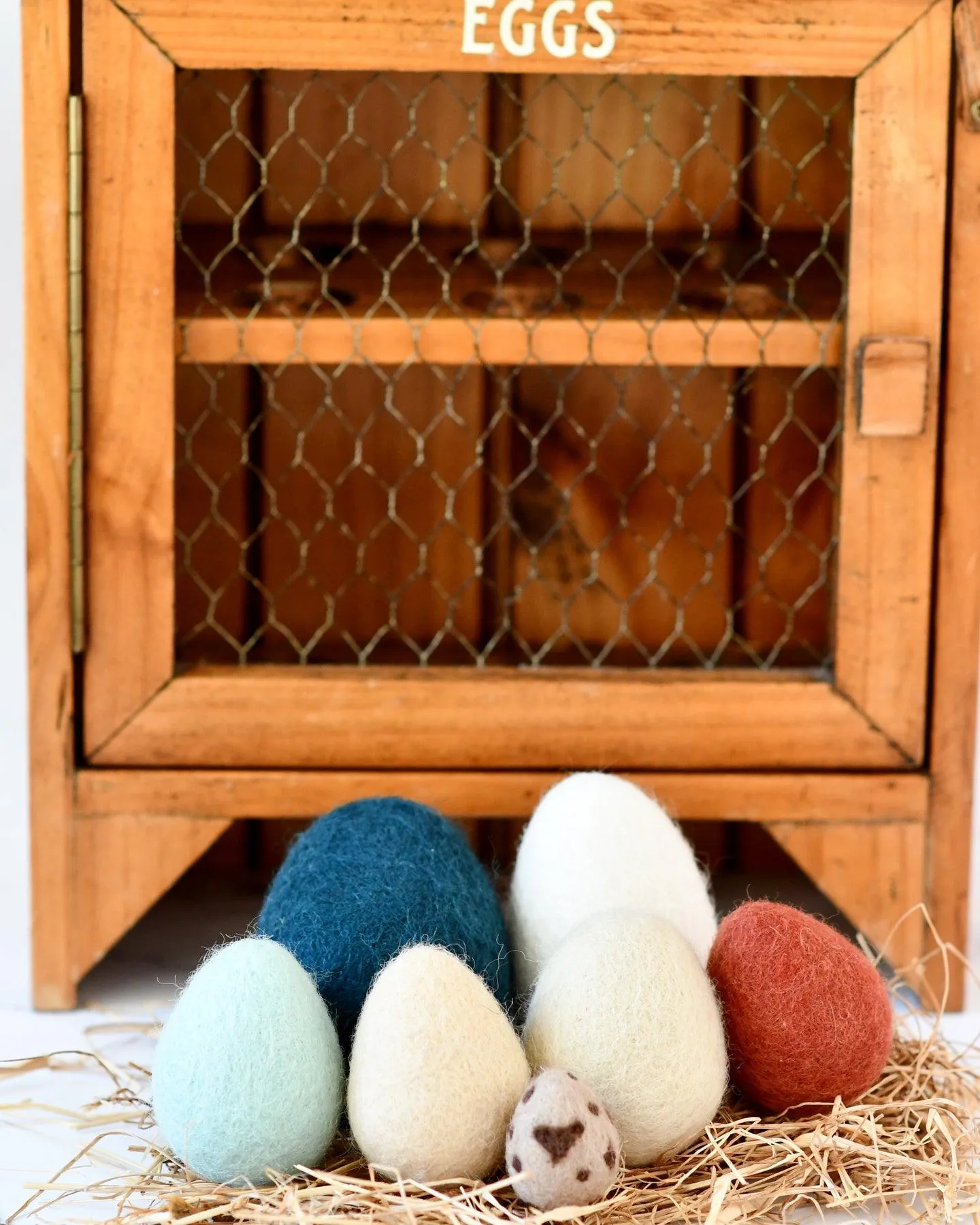 Felt Eggs (7 types of poultry eggs)