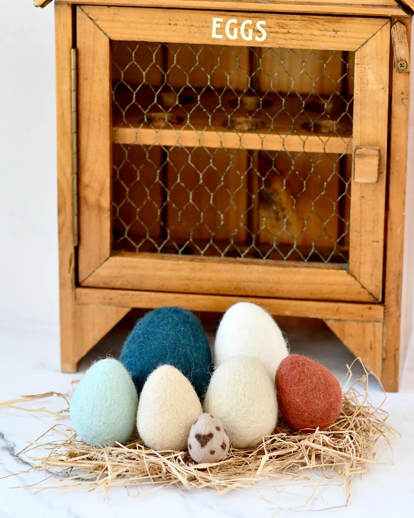 Felt Eggs (7 types of poultry eggs)