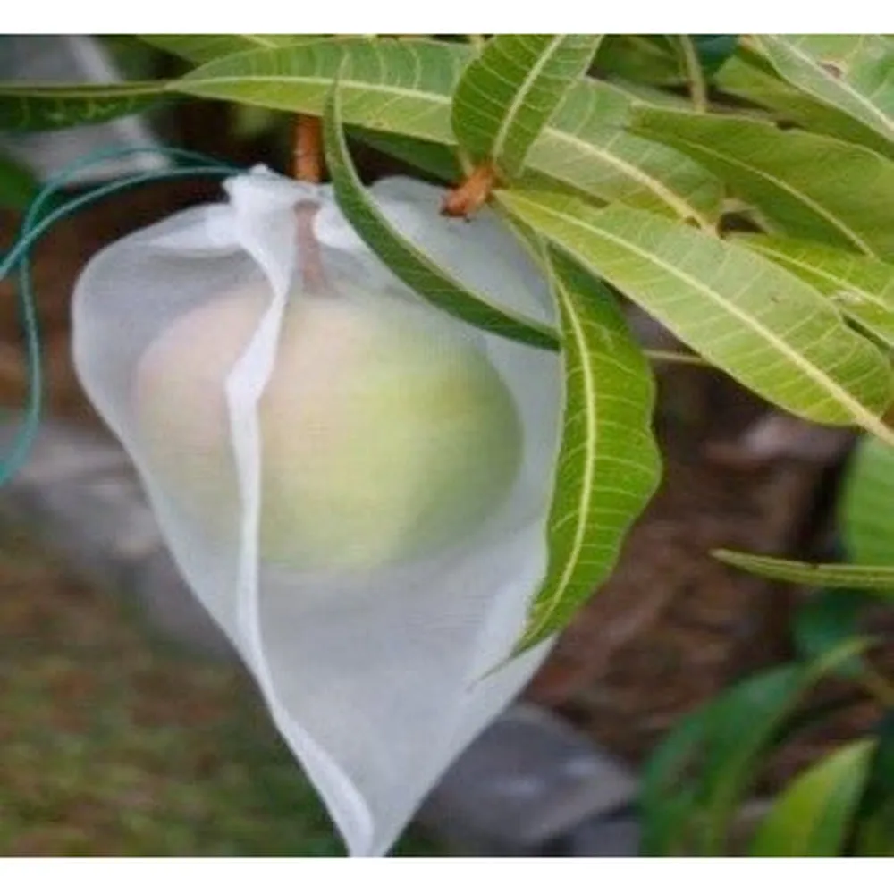 Fruit Protection Bag - 10 pack