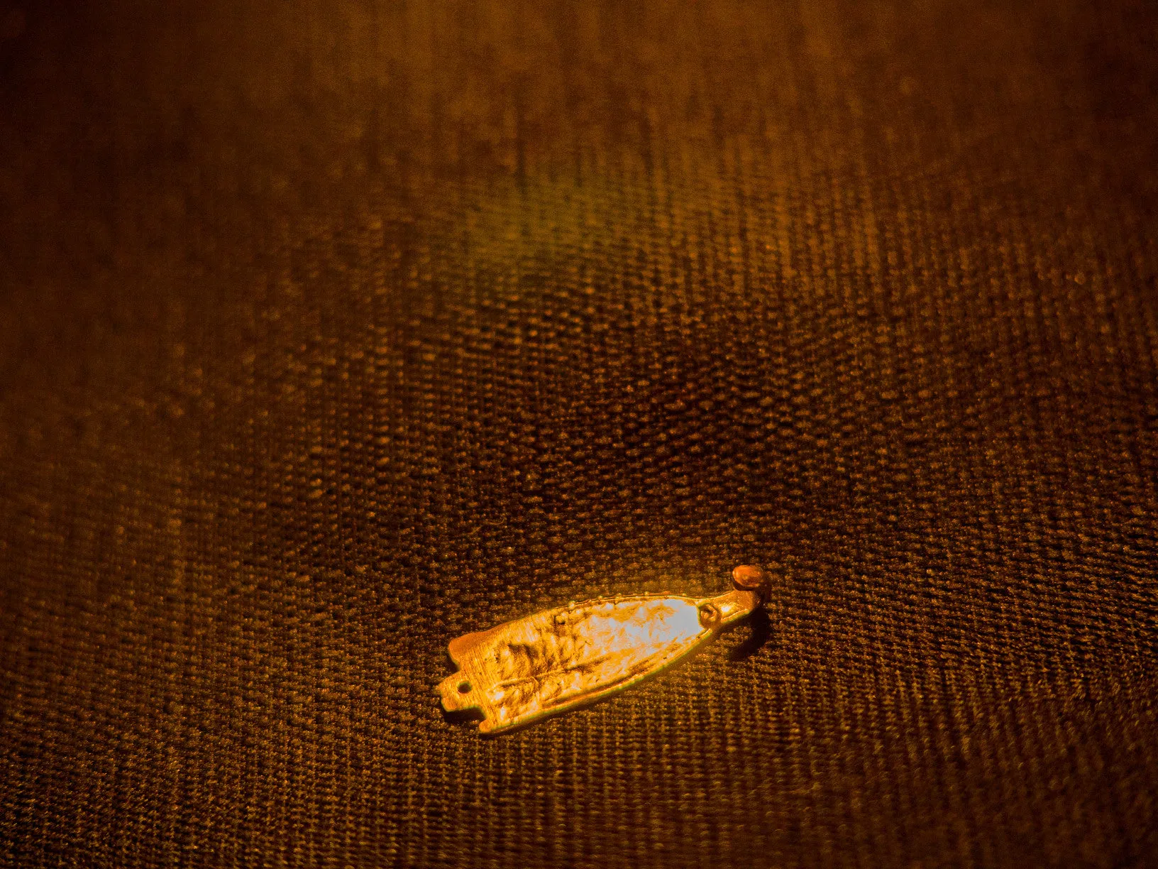 Hook tag with single hole - Y-83