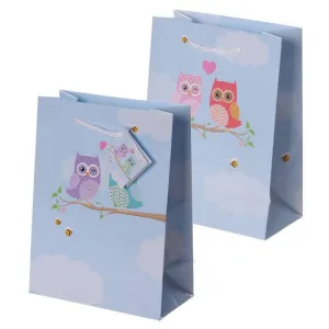 Love Owls Design Gift Bag 17 x 9 x 23cm
