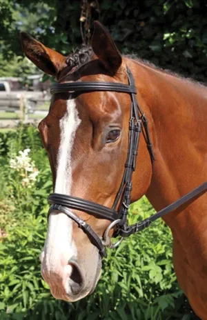 Nunn Finer "Gifted" Dressage Bridle, Black