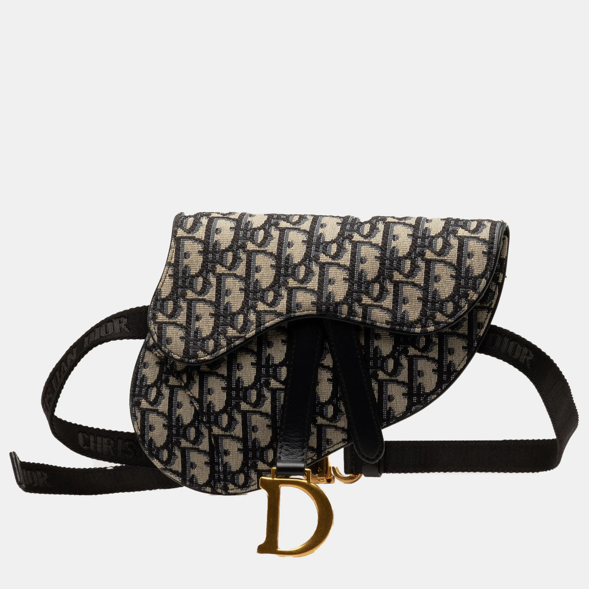 Oblique Canvas Saddle Belt Bag