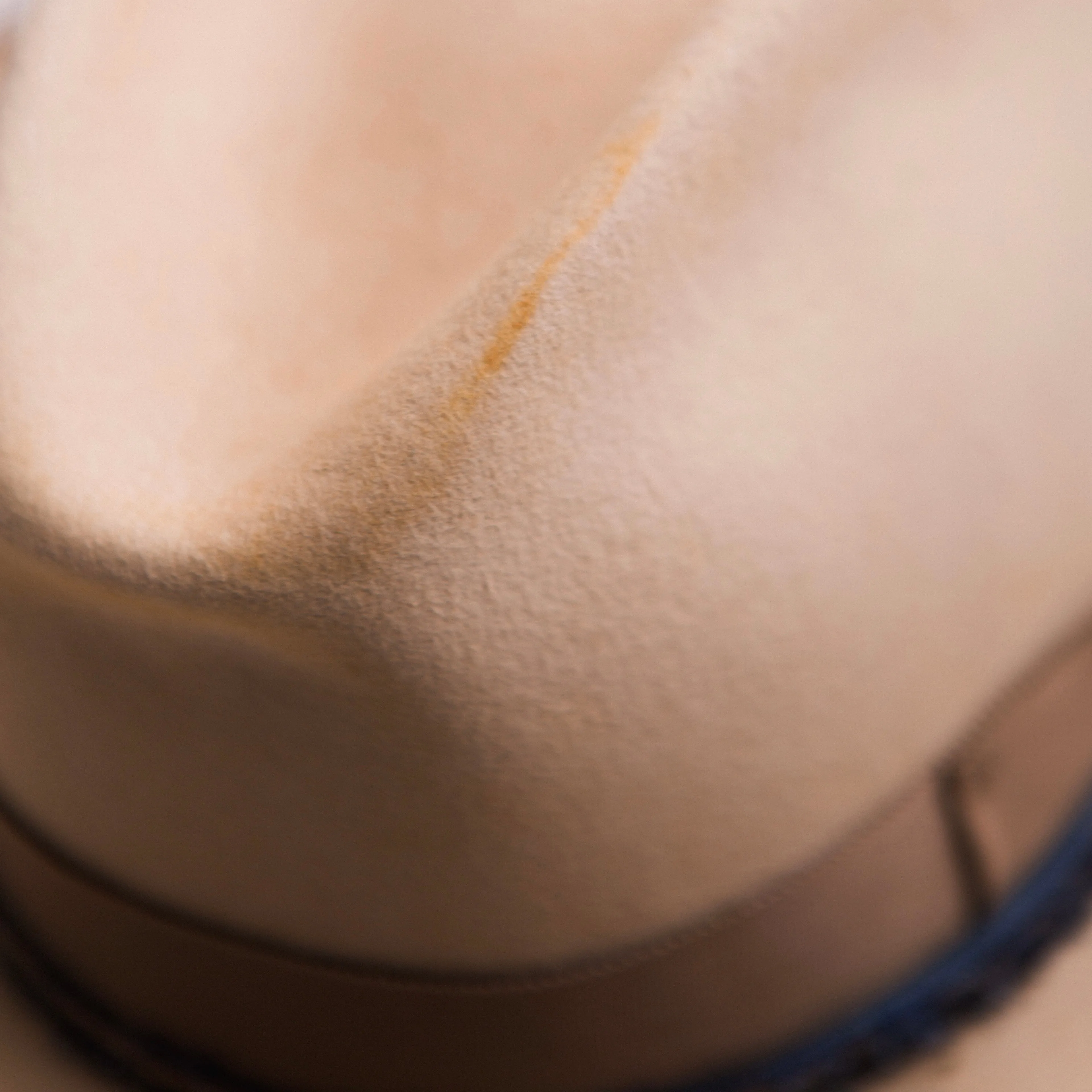 Old-World Buckler Fedora