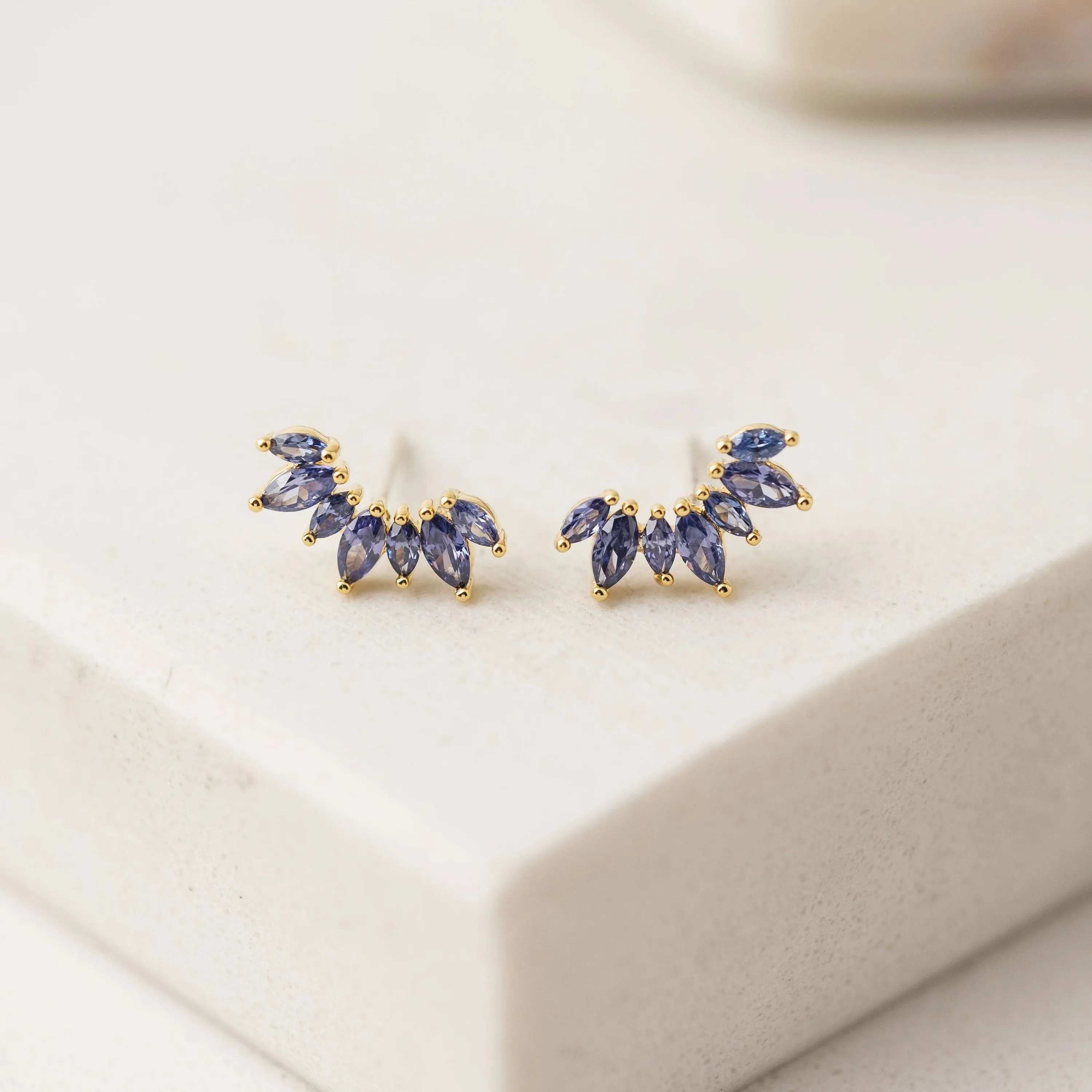 Royal Crown Climber Earrings