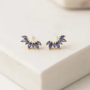 Royal Crown Climber Earrings