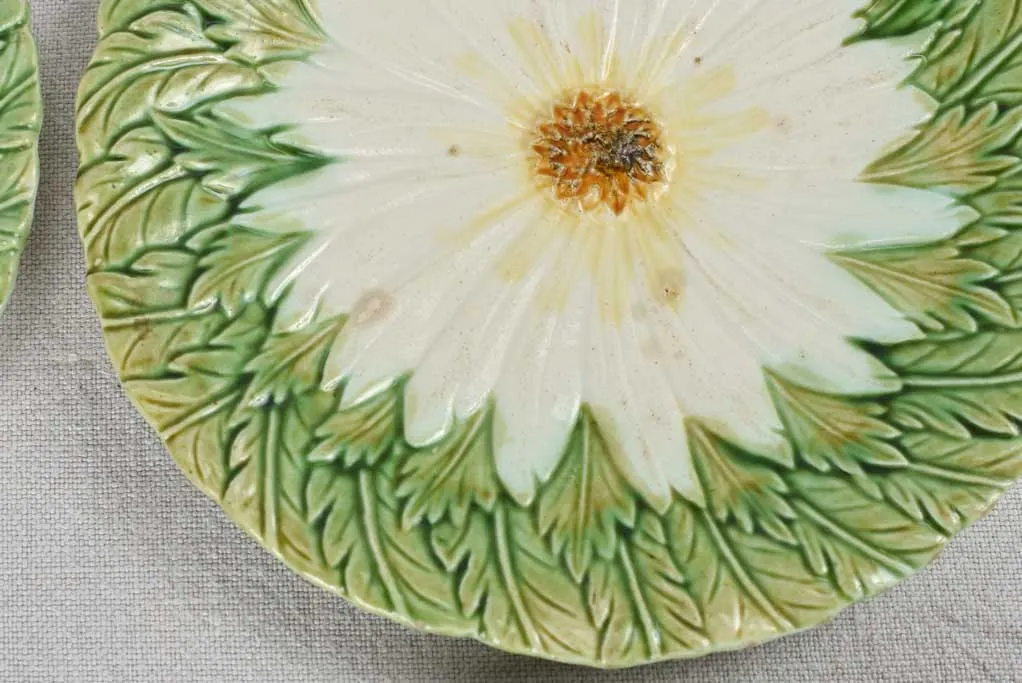 Set of four Majolica daisy plates 8¼"