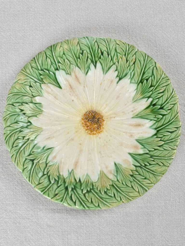 Set of four Majolica daisy plates 8¼"