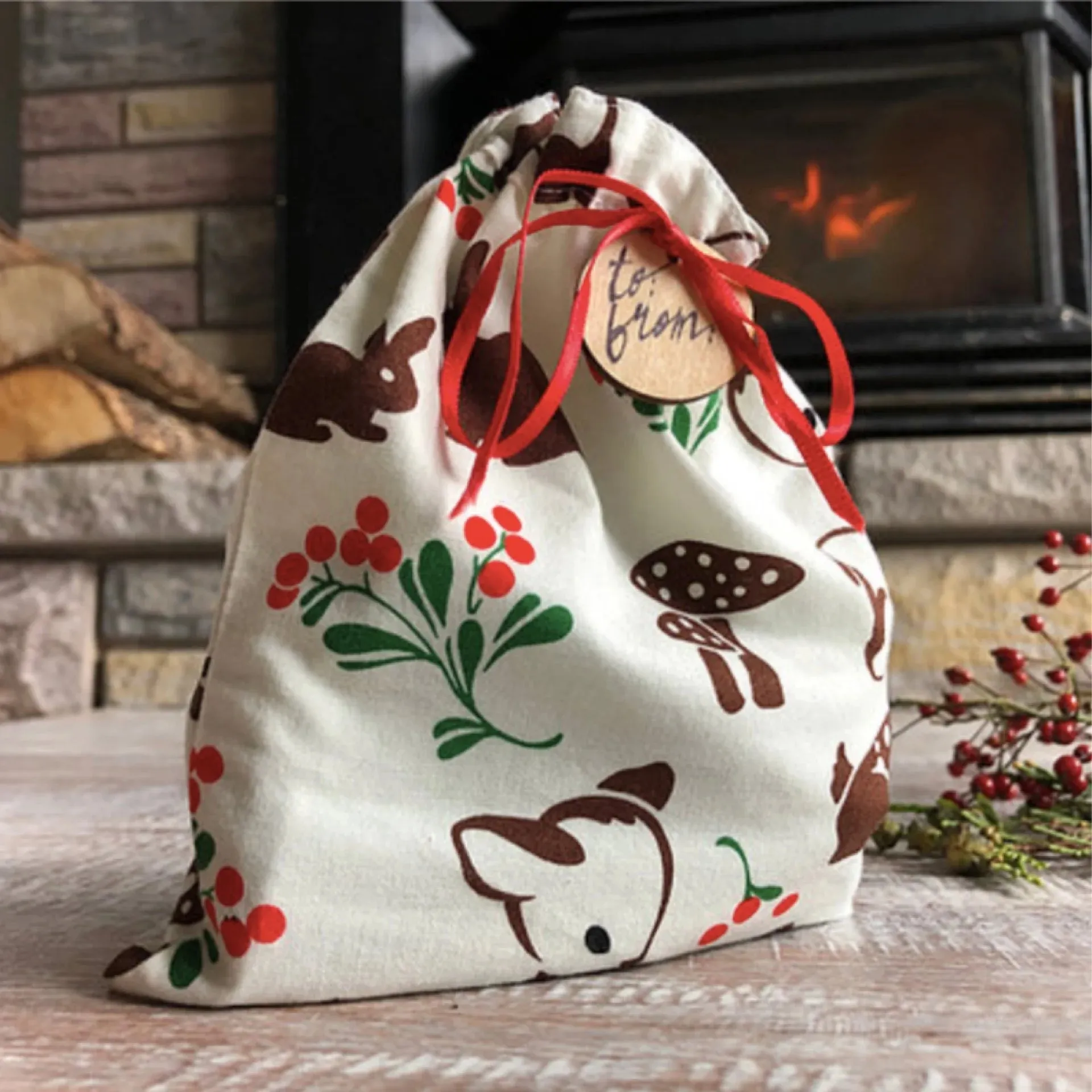 Small Reusable Gift Bag