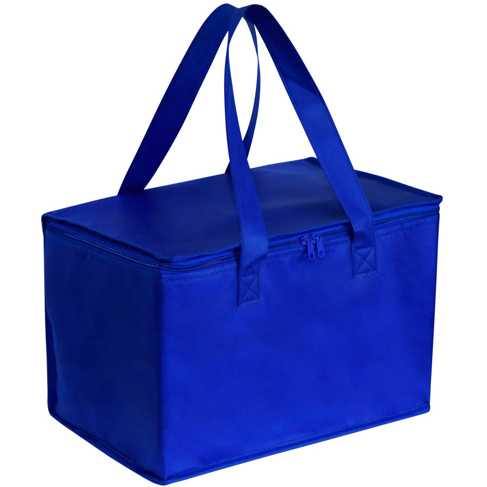 Stock NWPP Jumbo Cooler Bag(SNB-122G)