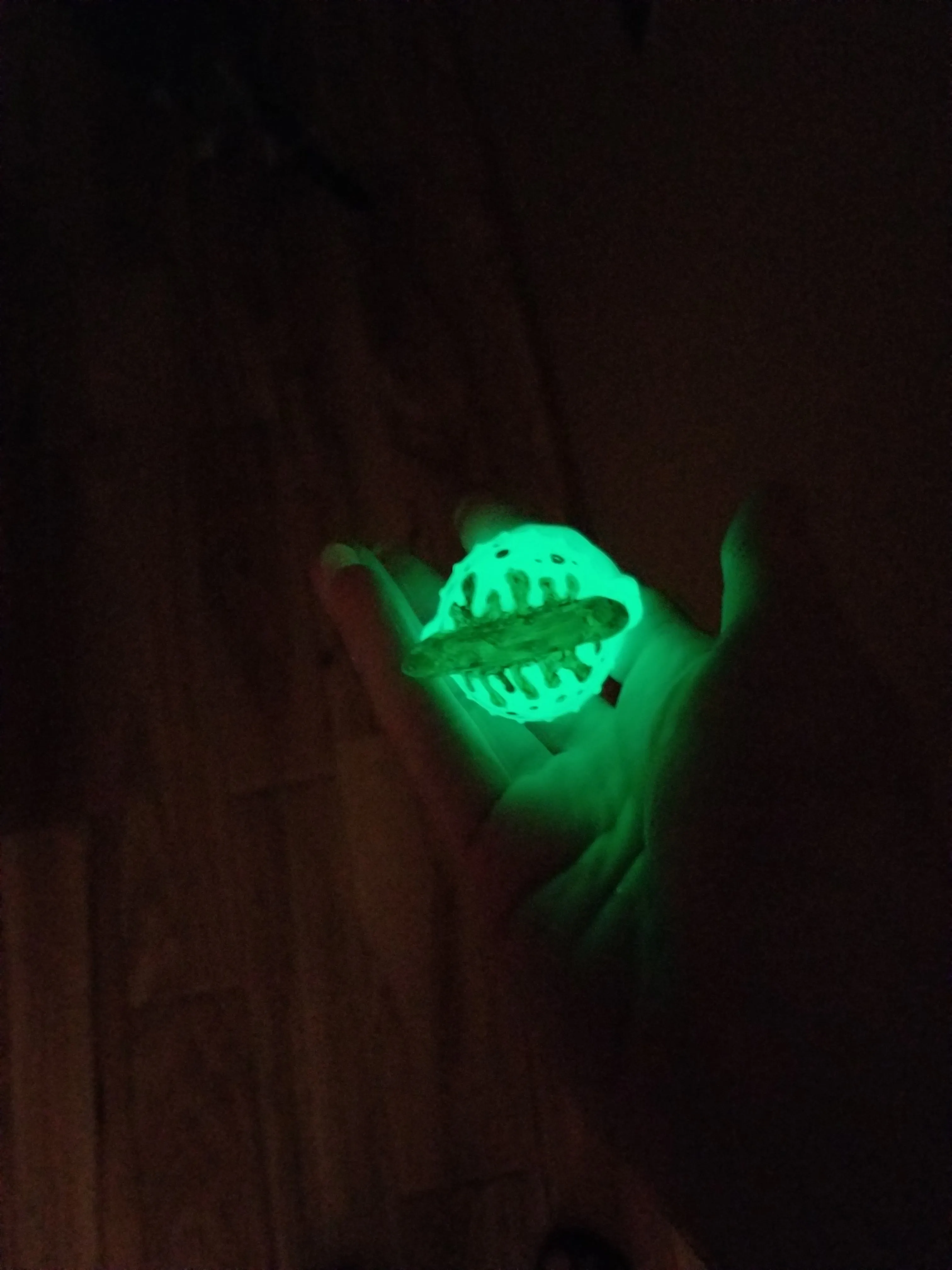 Viking Ghoulz Ectoplasm GITD Mini LE 35