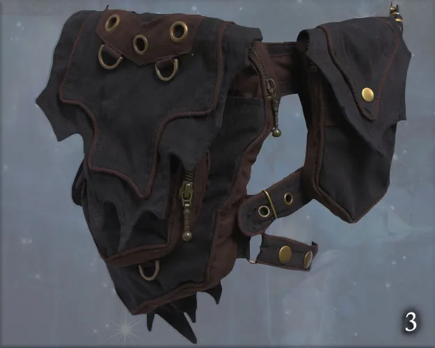 Wizard Hip Belt - with removable device pocket