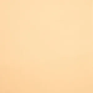 Wool Felt Solids 09 Light Caramel